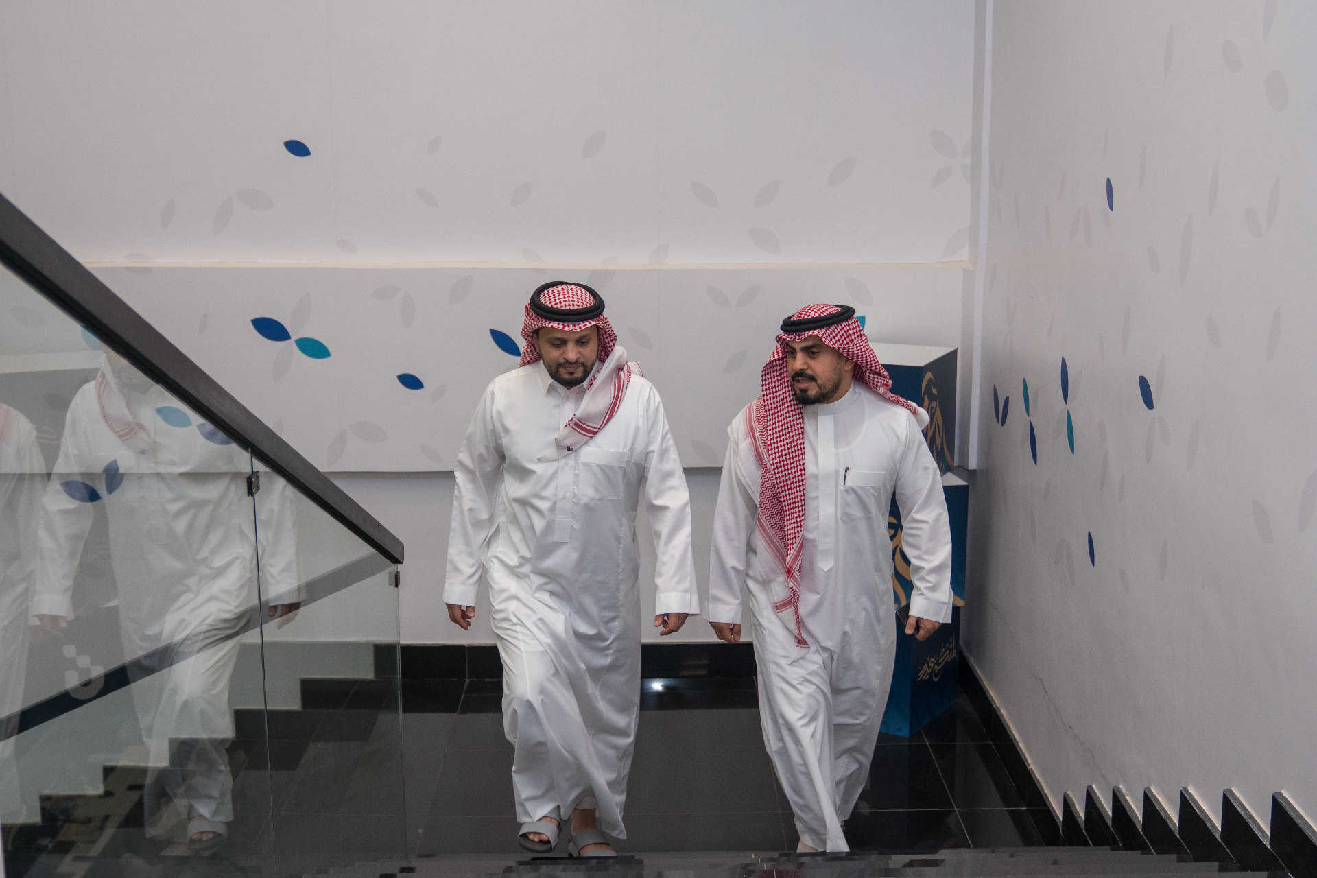 صورة
